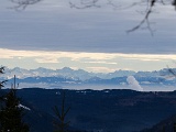Alpenpanorama.jpg